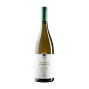 Tenuta Casteani - IGT Toscana Spirito Libero Vermentino 2021
